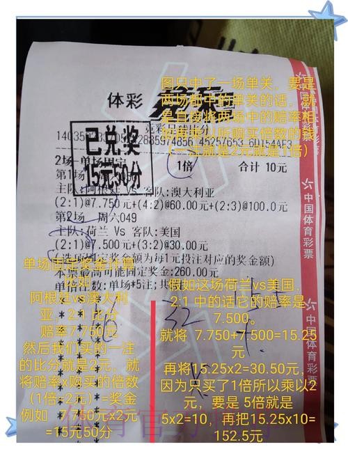 世界杯购彩心得分享：理性投注与稳健收益